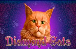 Diamond Cats